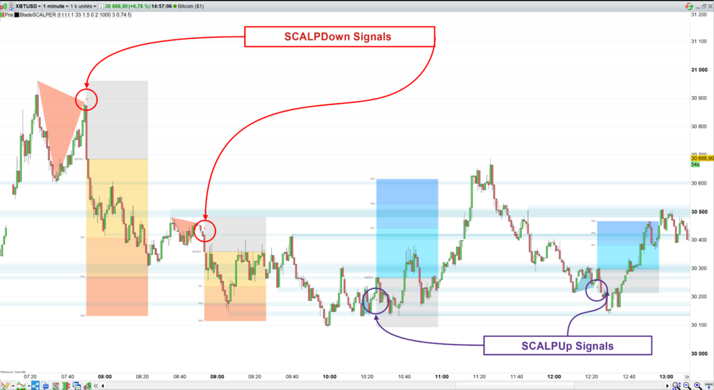 SCALPup Down Singals Blade SCALPER